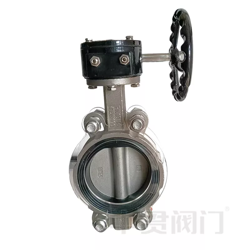 304 သို့မဟုတ် 316 တန်းသံမဏိလိပ်ပြာ Valve