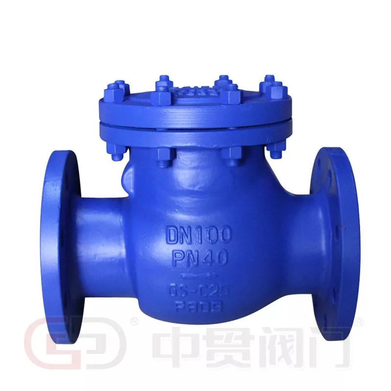 DIN SWING အမျိုးအစား Check Valve