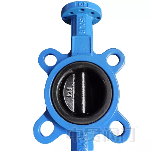 Halar Coated Disc လိပ်ပြာ Valve