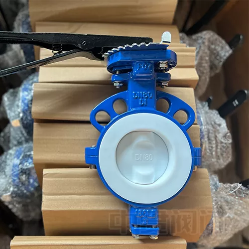 အုပ်စုခွဲခန္ဓာကိုယ်အပြည့်အဝ ptfe လိပ်လိပ် valve